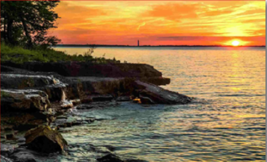 PALM TREES ON LAKE ERIE