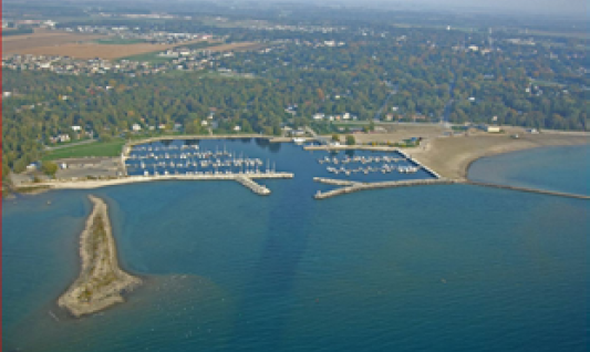 PALM TREES ON LAKE ERIE
