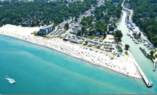 PALM TREES ON LAKE ERIE
