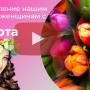8 марта