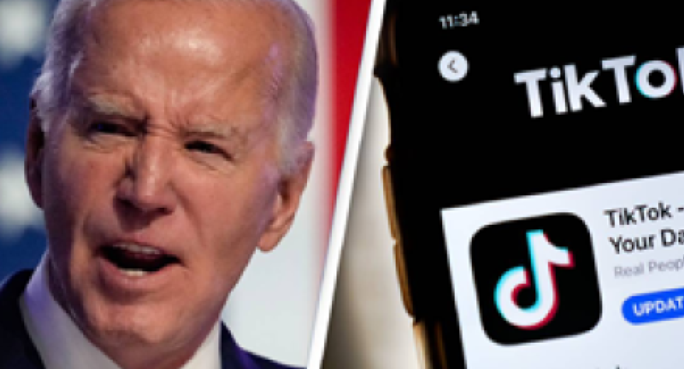 Lower House of US Congress Approves TikTok Ban