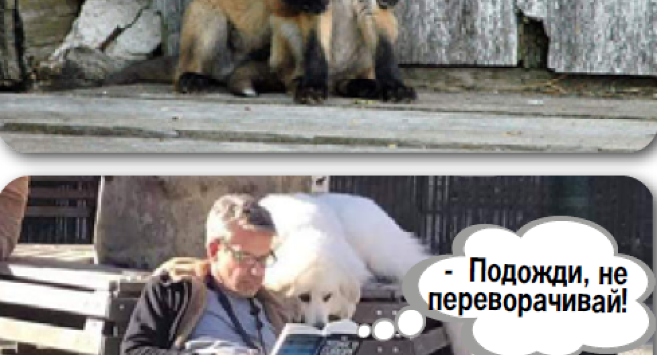 Anecdotes