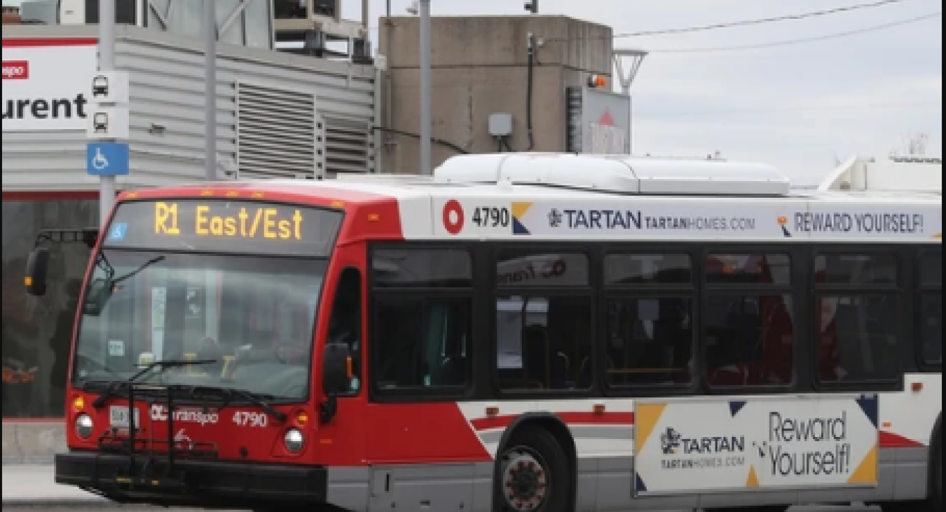 Bus