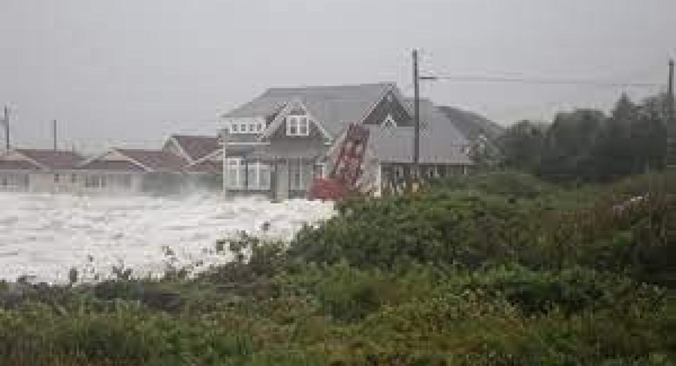 LeeStorm