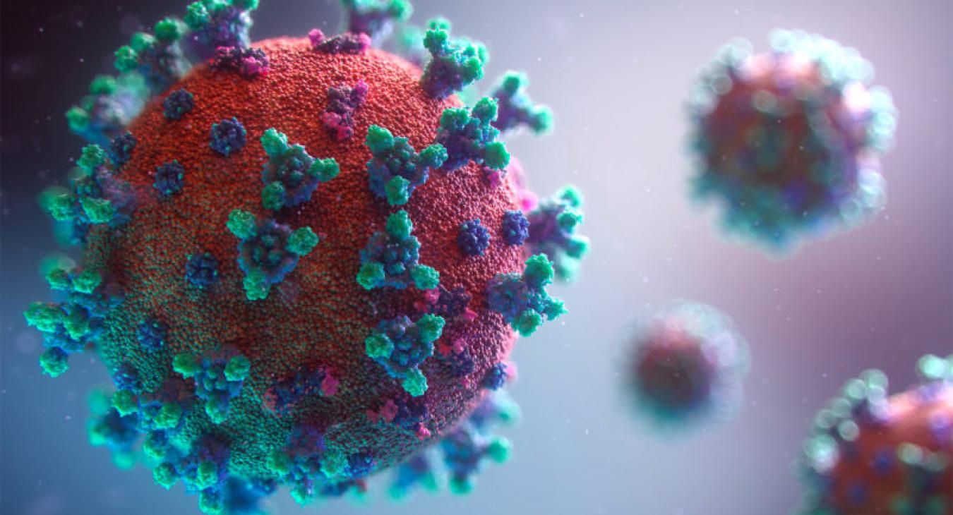 Virus