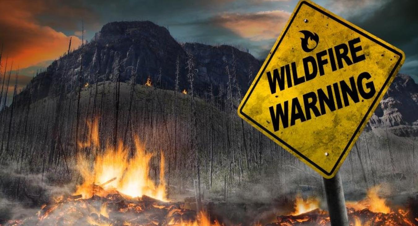 Wildfires 