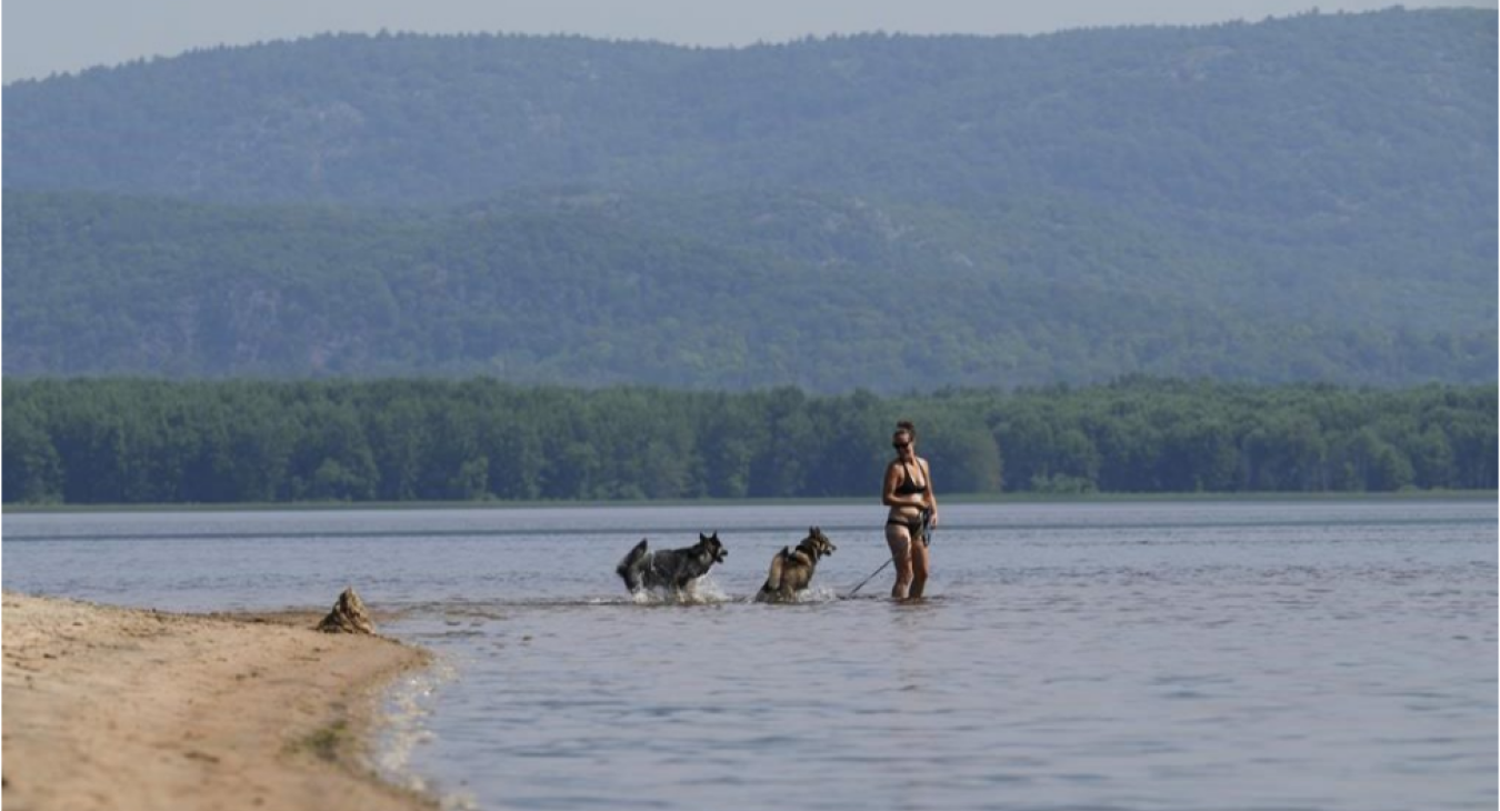 Woman with Dog