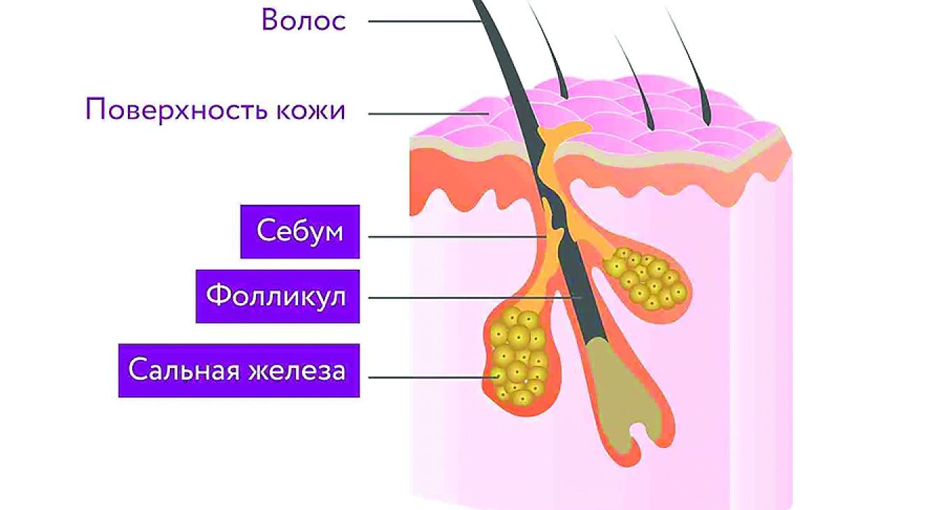 Deep cleansing