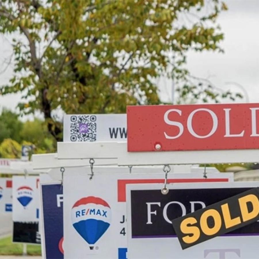 Real Estate
