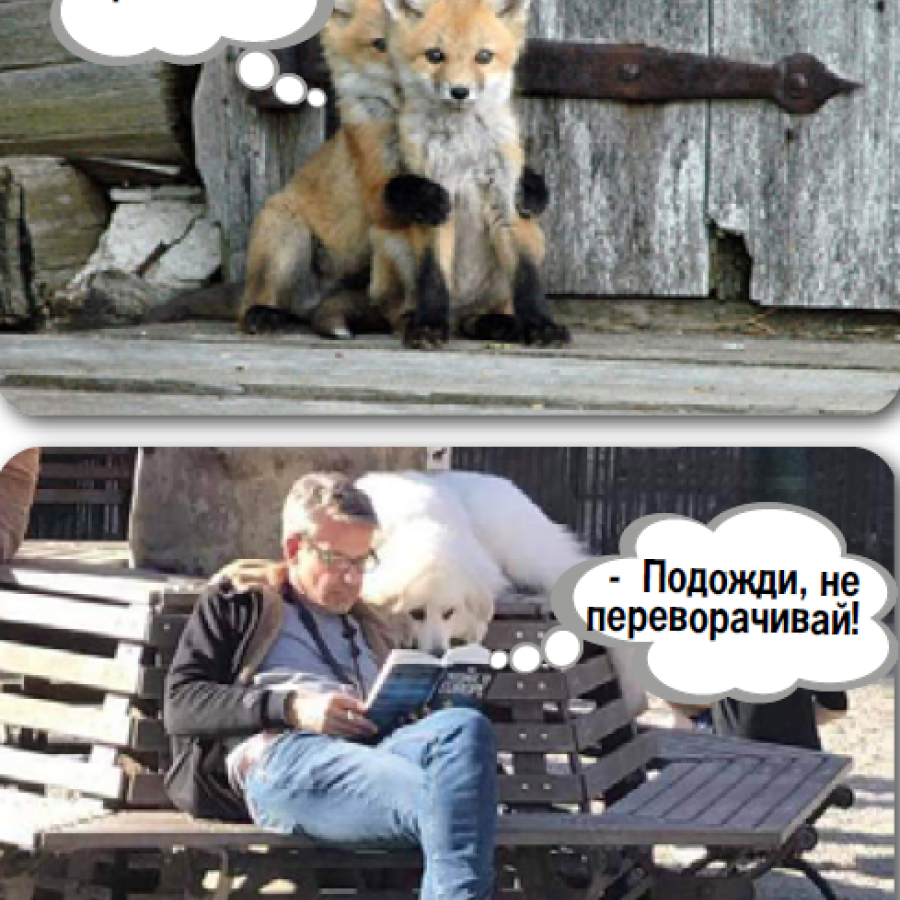Anecdotes