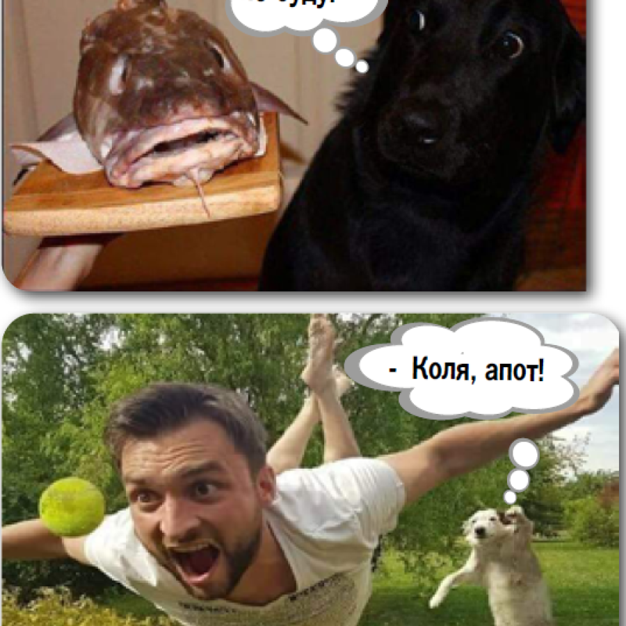 Anecdotes