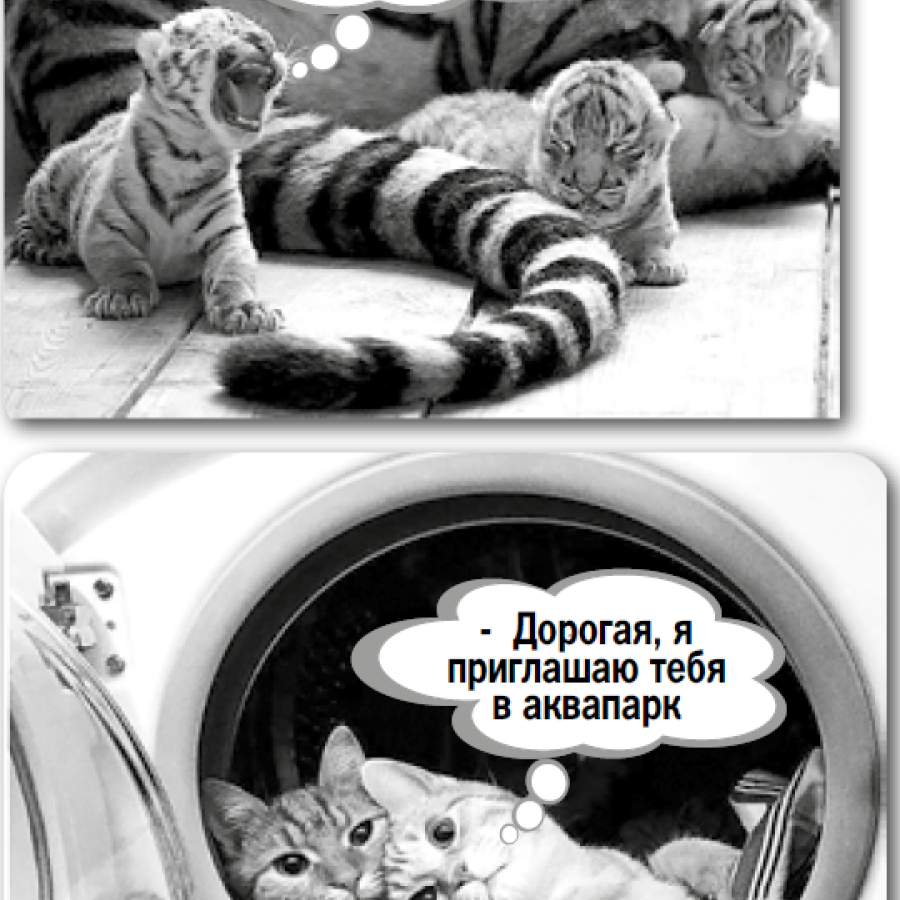 Anecdotes