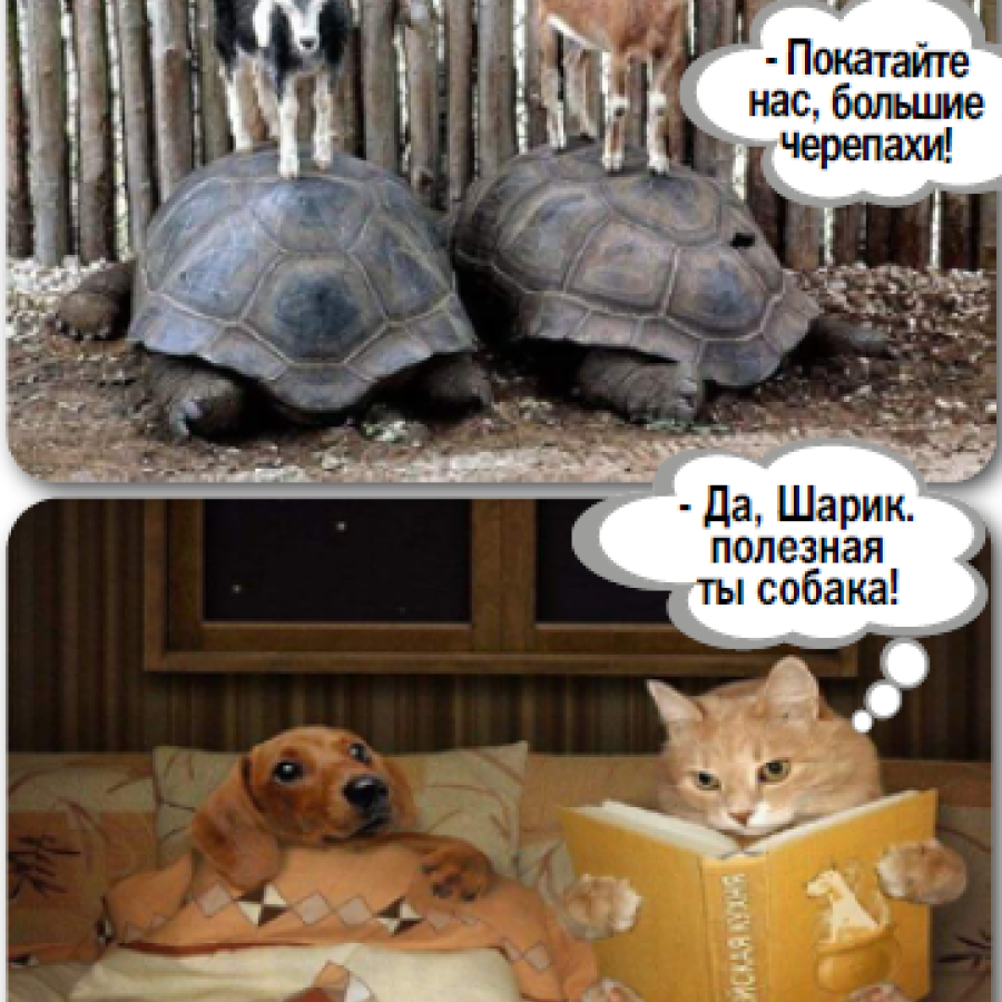 Anecdotes