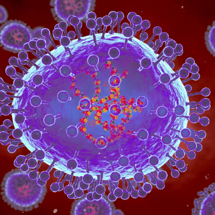 New virus outbreak in China. The virus is more dangerous than Covid. Is there a threat of a new pandemic? Is there a vaccine for it?