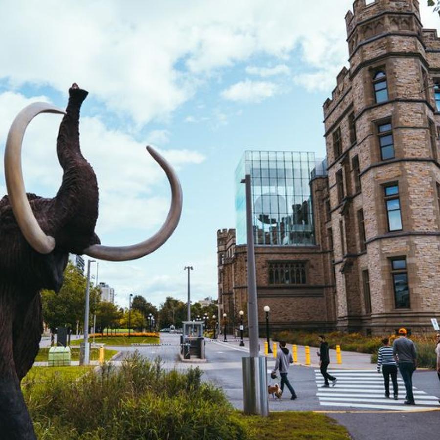 Museum of Nature