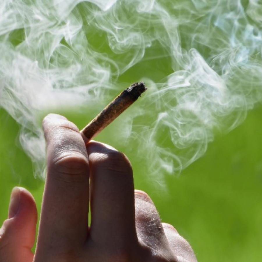marijuana 