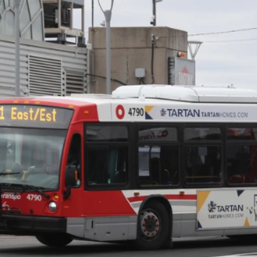 Bus