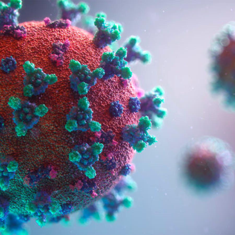 Virus